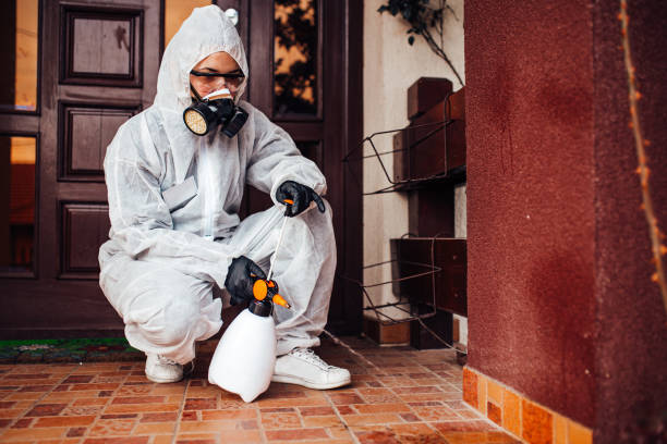 Reliable Bed Bug Control contractor in Mason Neck, VA by Nex Pest Control