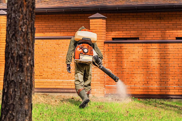 Trusted Bed Bug Control service in Mason Neck, VA - Nex Pest Control
